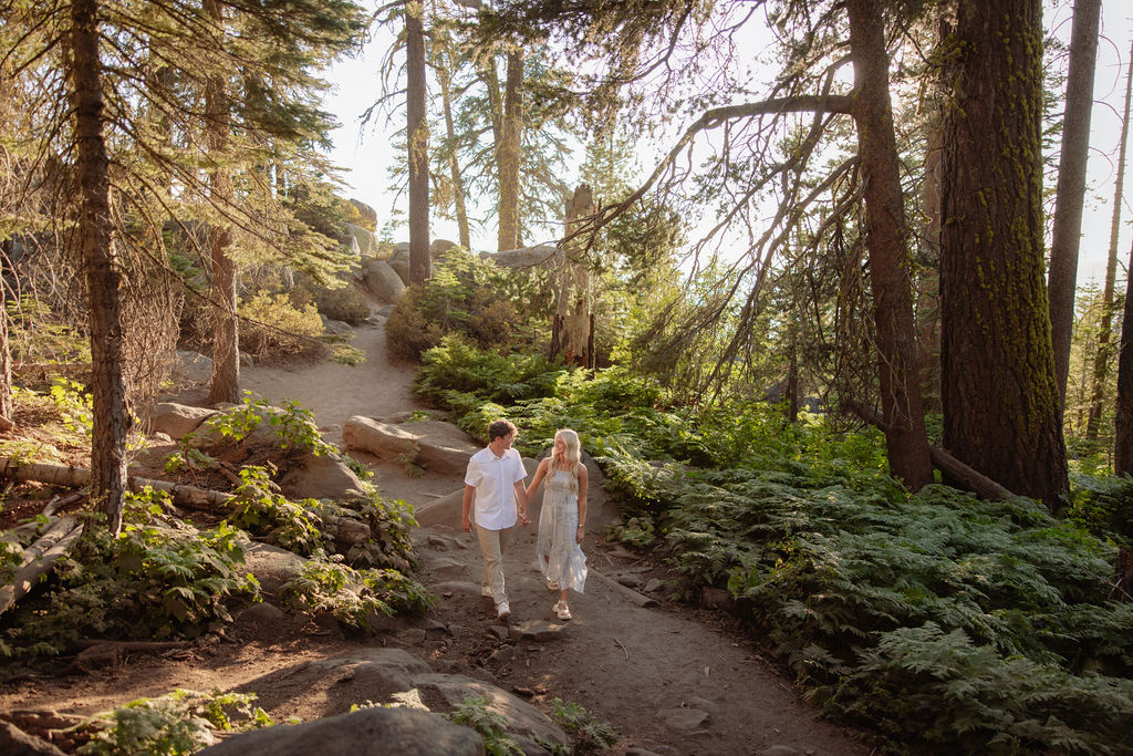 A man lifts a woman in an embrace outdoors, surrounded by trees and greenery in a sunlit, forested area.
