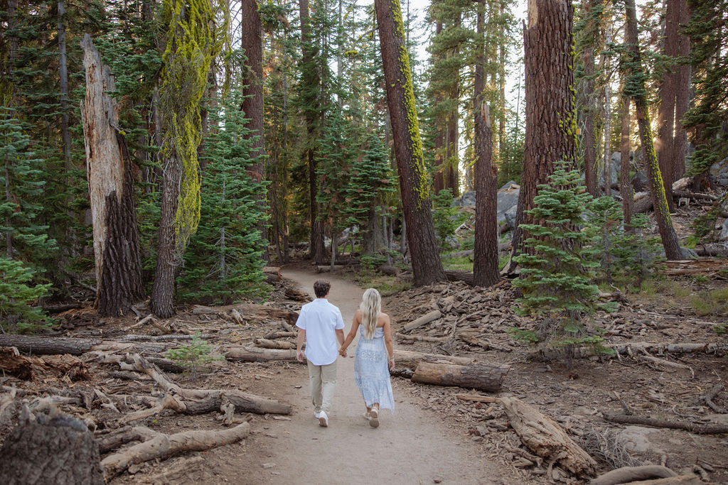 A couple stands together in a sunlit forest clearing, surrounded by tall trees and green foliage.