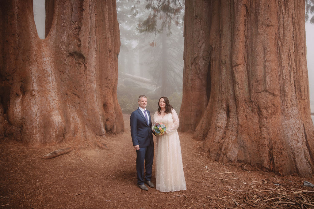 A couple stands facing each other inside the hollow of a large tree, dressed in formal attire.