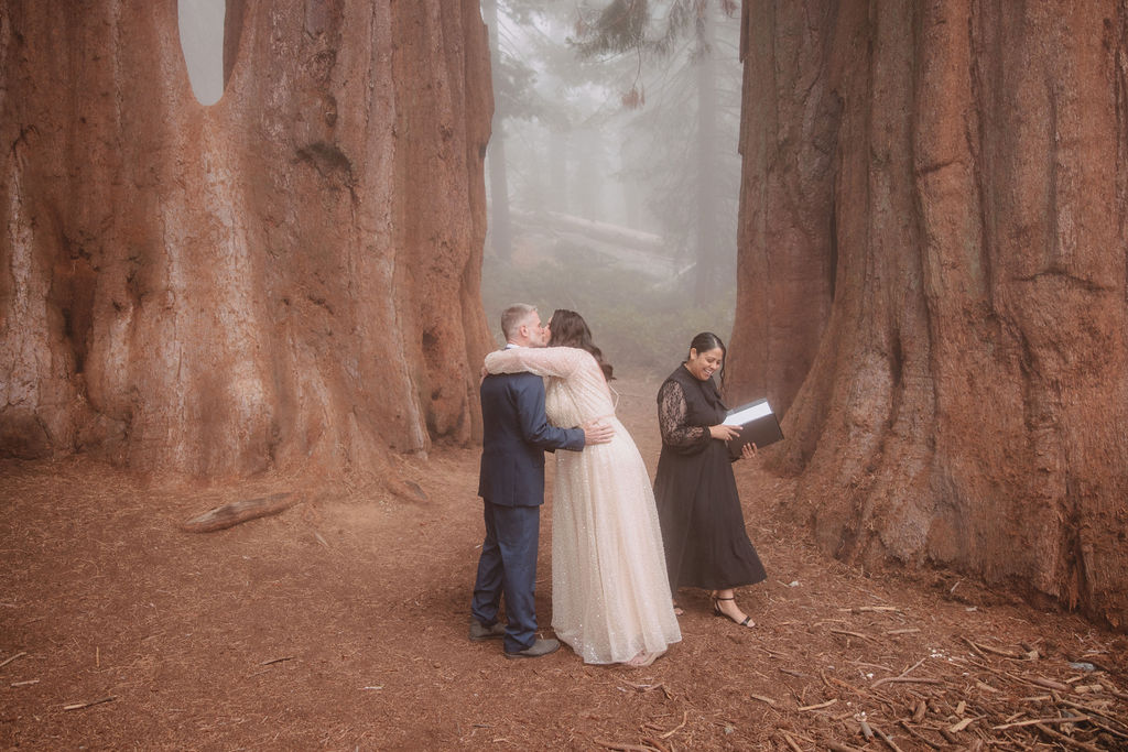 A couple stands facing each other inside the hollow of a large tree, dressed in formal attire.