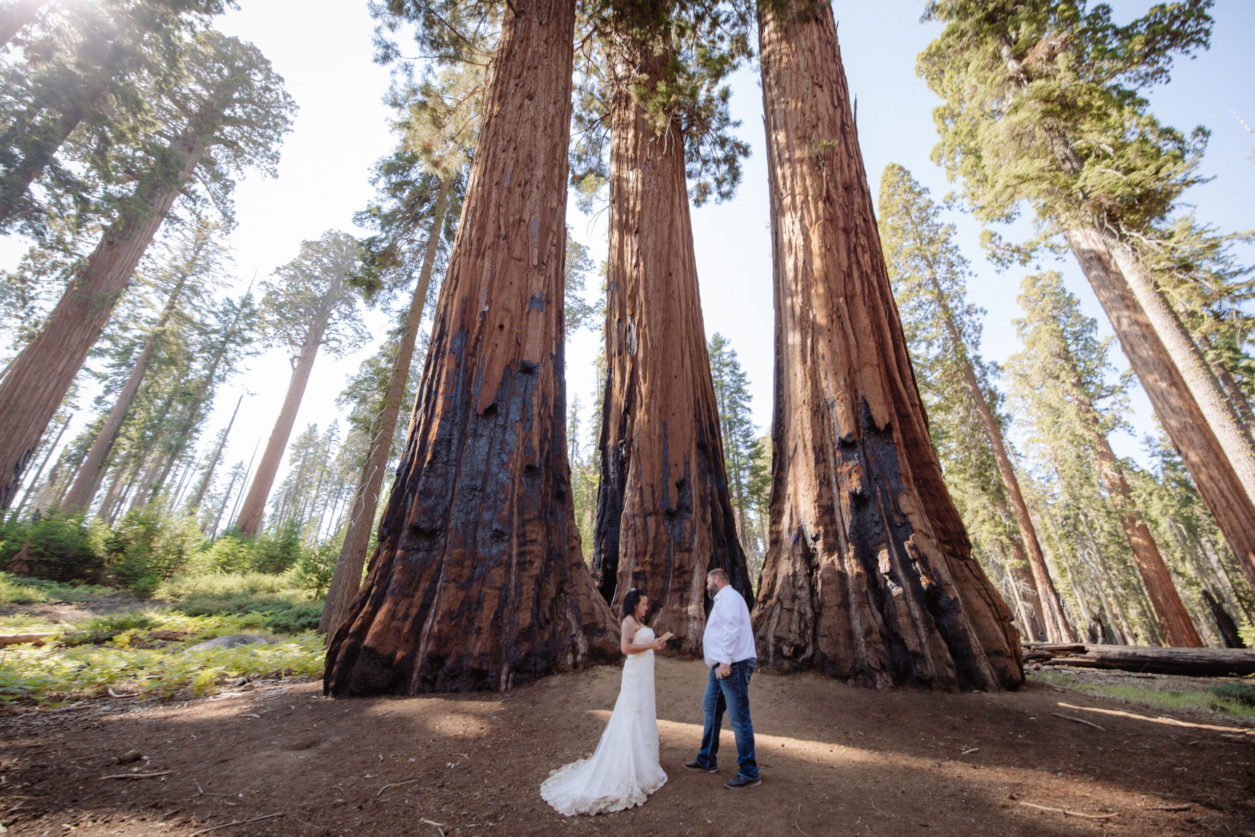 A bride and groom stand together at the base of giant sequoia trees in a forest, with sunlight filtering through the tall trunks. Sequoia National Park Spots for Photos
