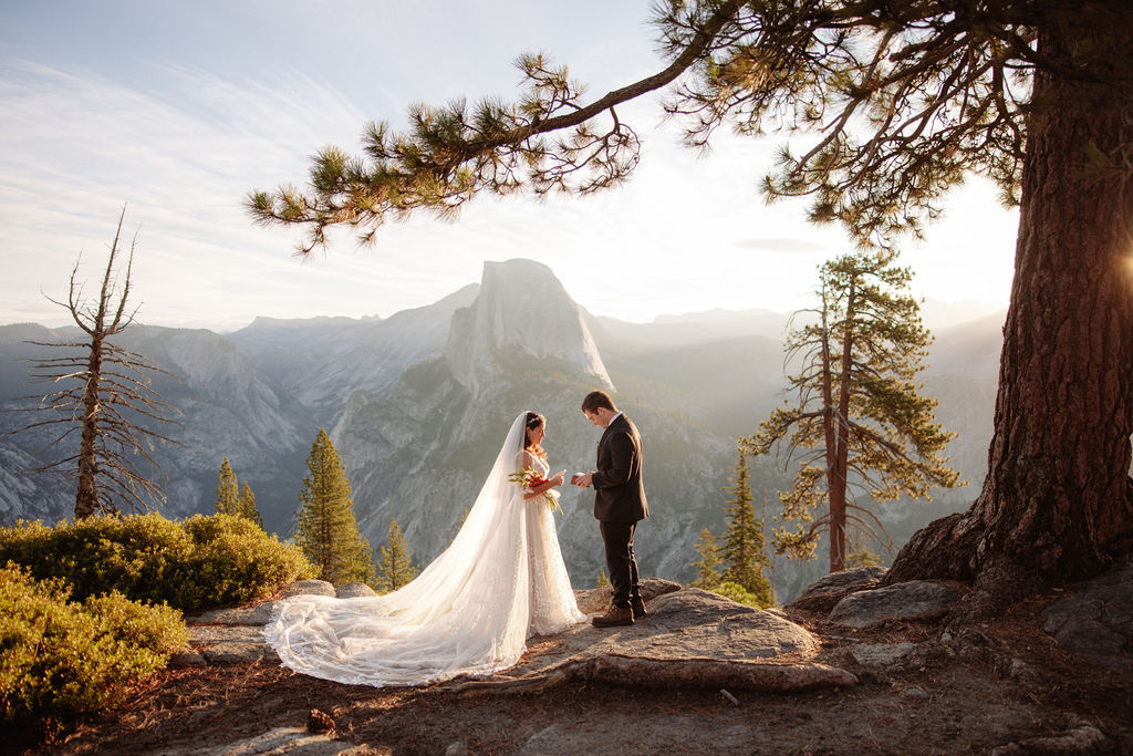 A bride and groom stand on a rocky ledge in a forested mountain area, exchanging vows under a large tree with scenic mountains in the background.