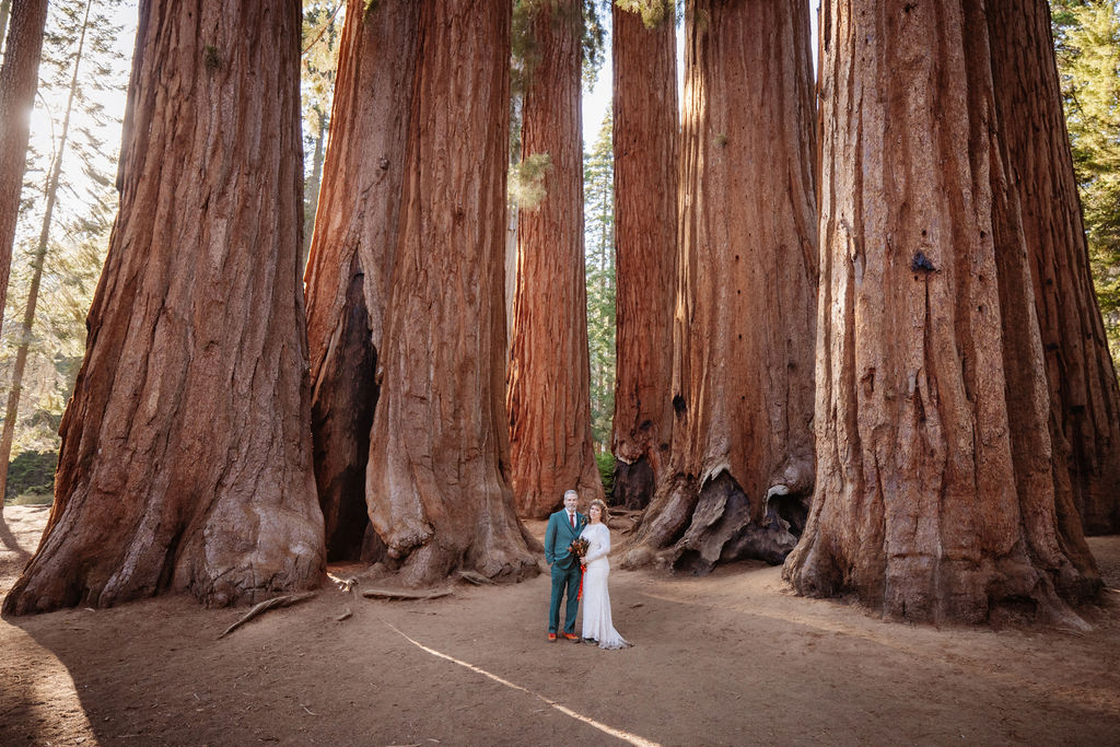 Several people stand at the base of giant sequoia trees in a forest, emphasizing the immense size of the trees compared to the humans.