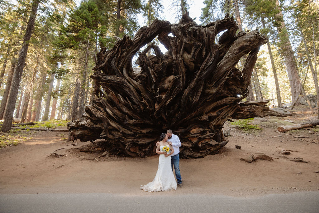 A bride and groom stand together in front of a large, intricate tree root system in a forest setting at a Sequoia National Park Spots for Photos