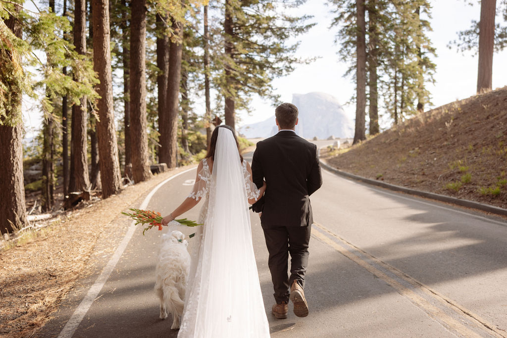 A bride and groom walk down a road lined with tall trees, accompanied by a white dog