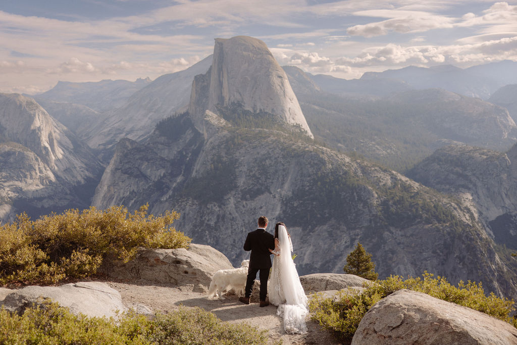 A bride and groom walk down a road lined with tall trees, accompanied by a white dog.