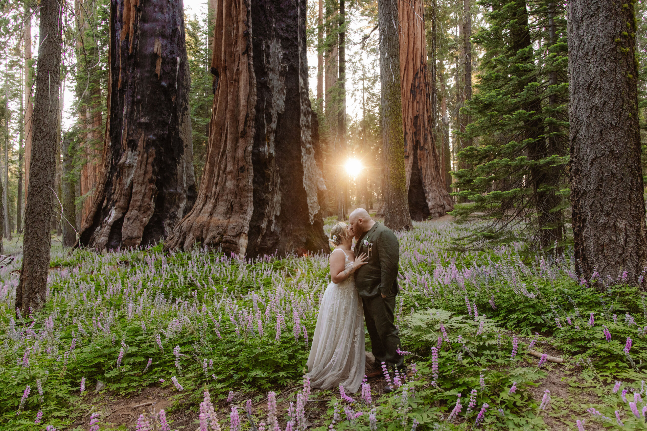 A bride and groom stand embraced in a forest clearing with tall trees and purple wildflowers, as the sun sets in the background at a Sequoia National Park Spots for Photos