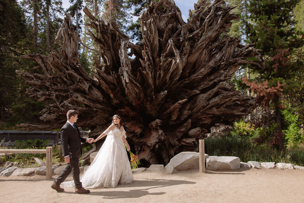 A bride and groom pose in front of a large, exposed tree root system in an outdoor setting surrounded by tall trees.