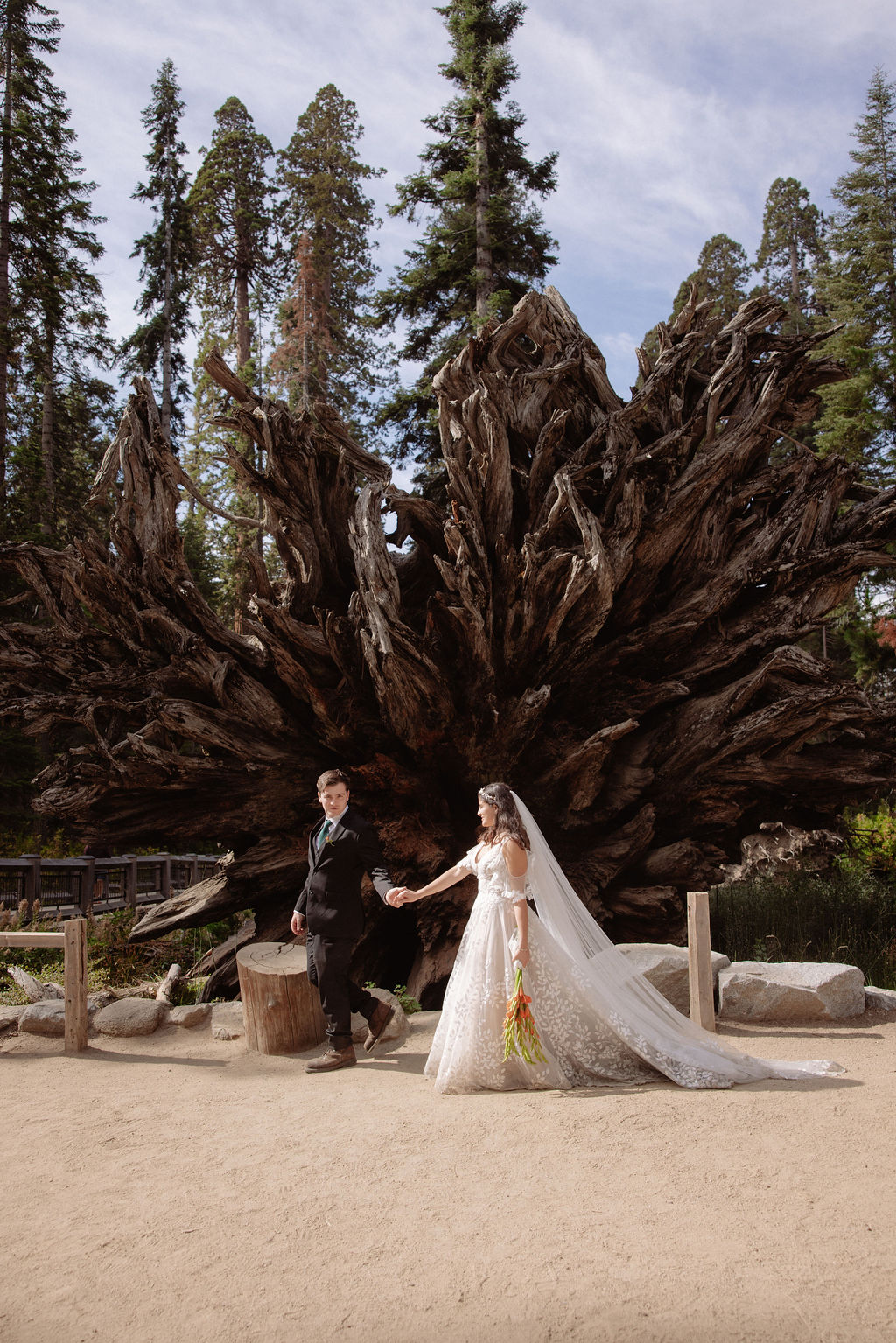 A bride and groom pose in front of a large, exposed tree root system in an outdoor setting surrounded by tall trees.