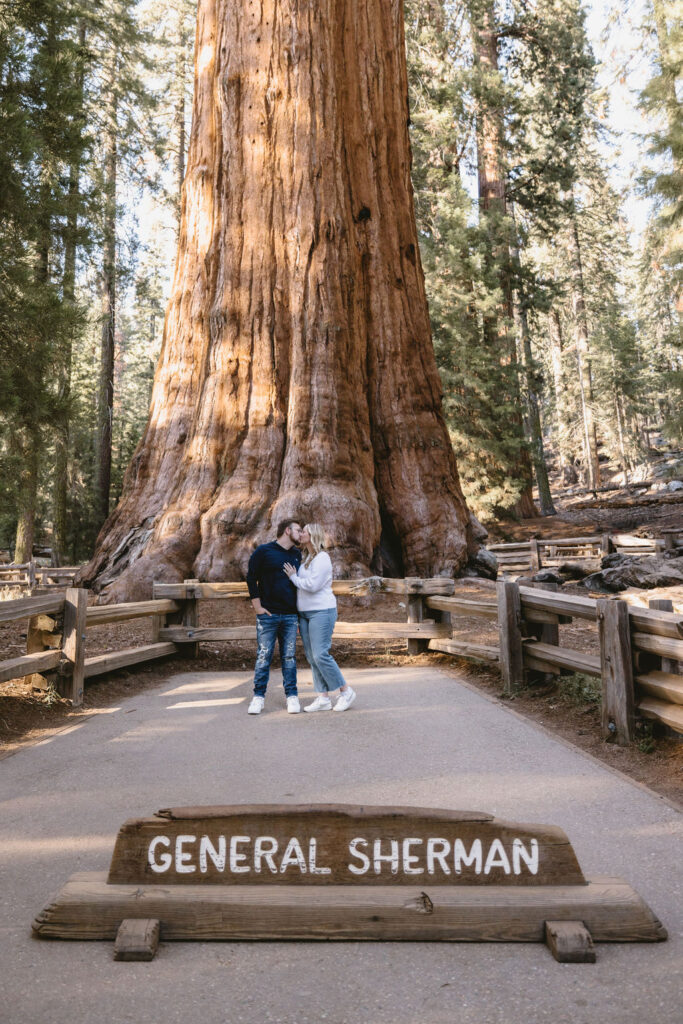 Two people stand side by side with arms around each other, facing a forest with tall trees and sunlight streaming through for Sequoia National Park Spots for Photos