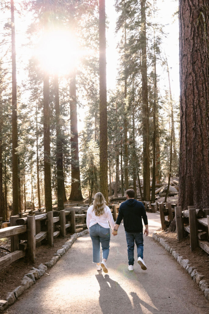 Two people stand side by side with arms around each other, facing a forest with tall trees and sunlight streaming through for Sequoia National Park Spots for Photos
