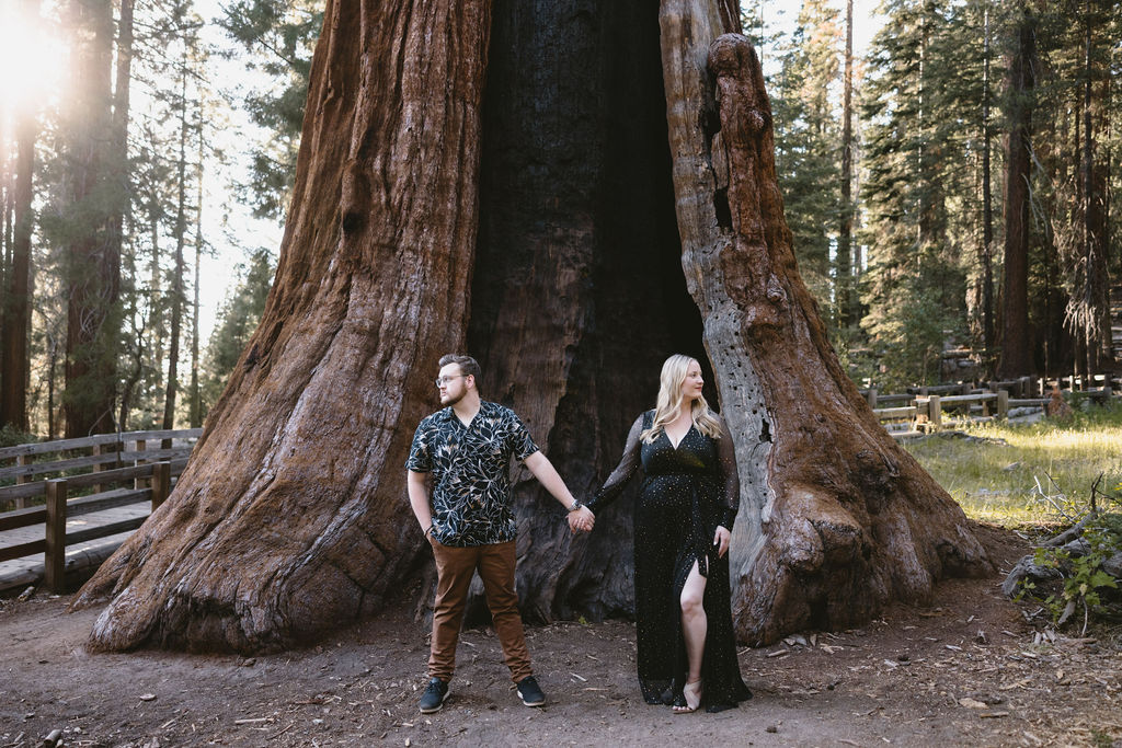 A man and a woman stand holding hands in front of a giant sequoia tree in a forest, both looking away from each other. Sequoia National Park Spots for Photos