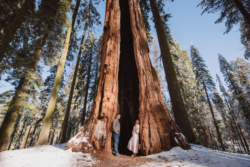 Two people stand in the hollow trunk of a large sequoia tree surrounded by tall trees and patches of snow at a Sequoia National Park Spots for Photos