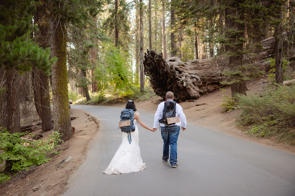 A bride and groom stand together in front of a large, intricate tree root system in a forest setting at a Sequoia National Park Spots for Photos
