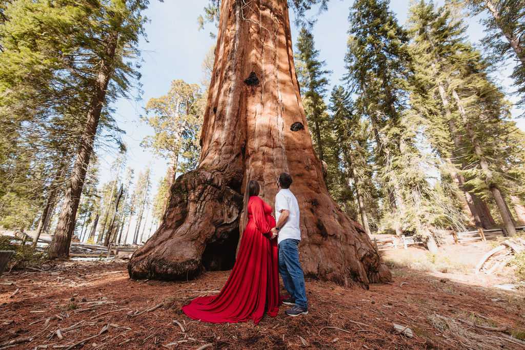 A couple stands close together outdoors near a wooden fence, with tall trees and sunlight in the background; the woman is wearing a long red dress.