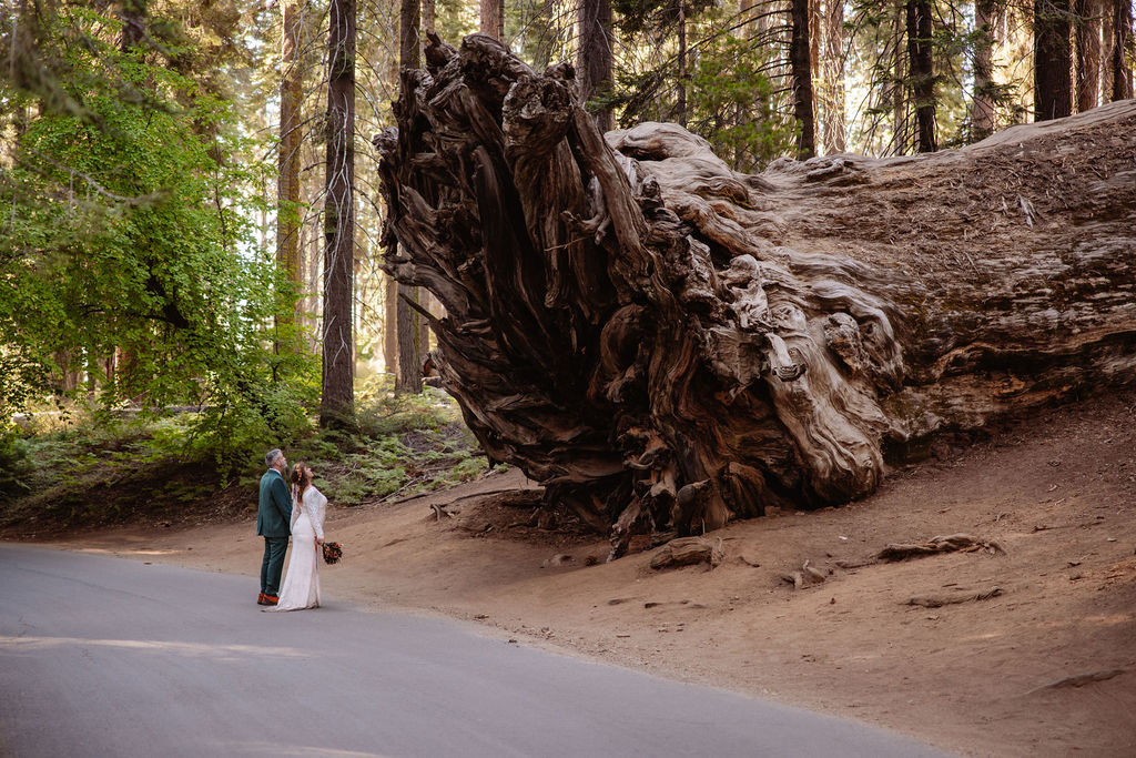 A bride and groom stand together in front of a large, intricate tree root system in a forest setting at a Sequoia National Park Spots for Photos