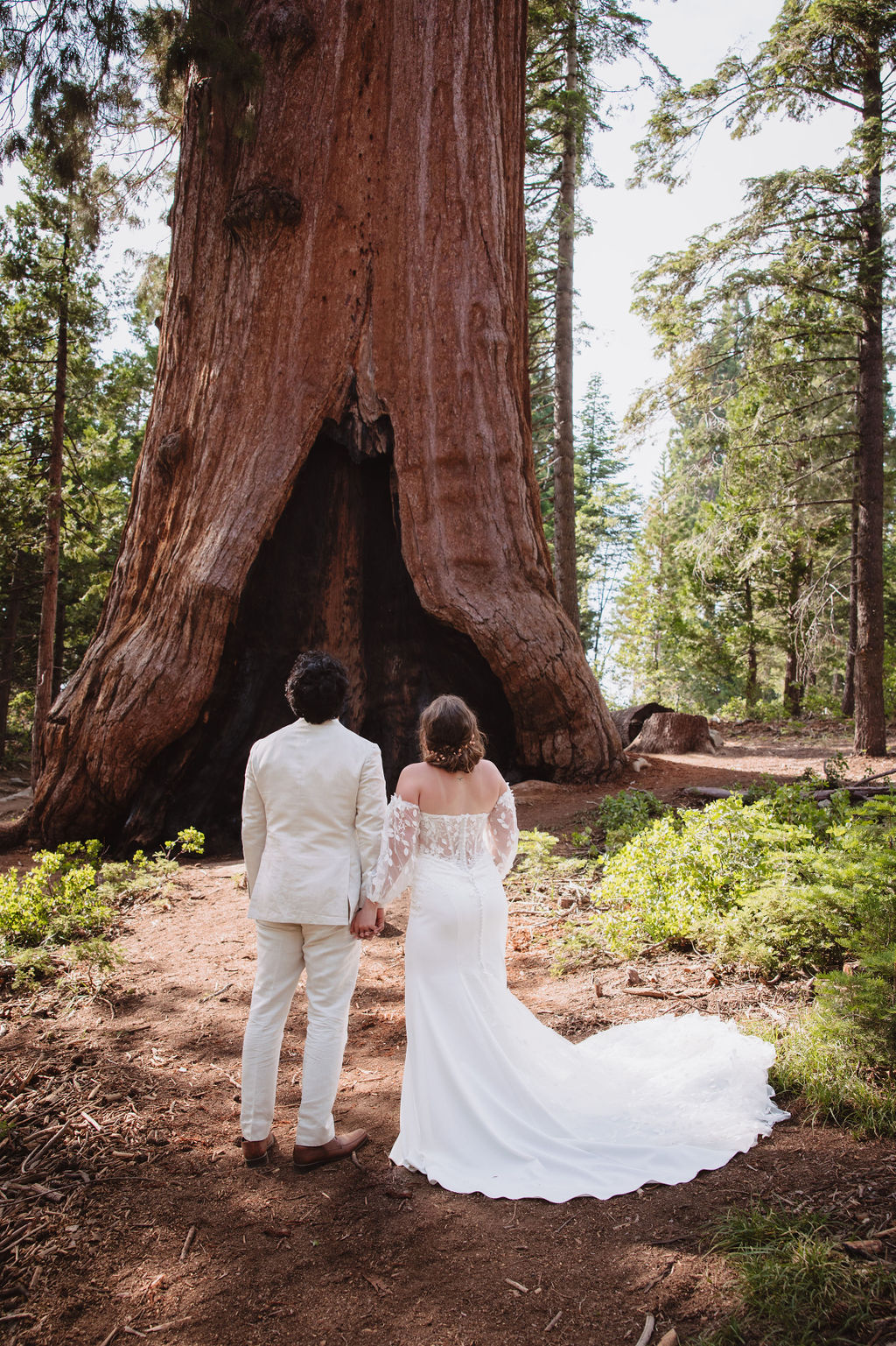 A bride and groom in wedding attire stand in front of a large tree in a forest, with sunlight filtering through the trees. Sequoia National Park Spots for Photos