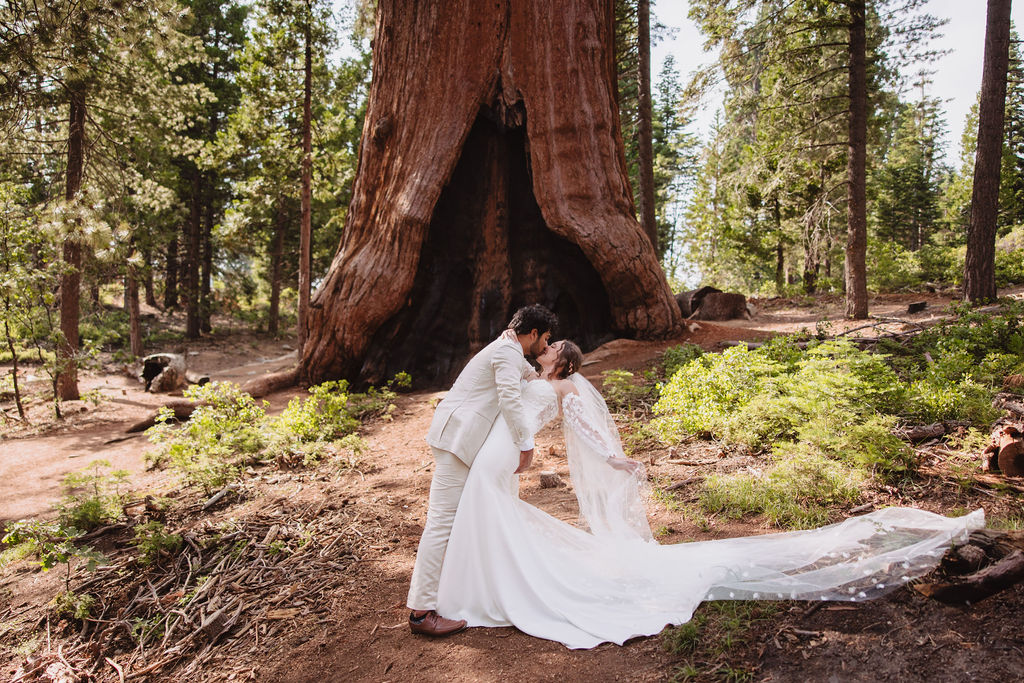 A bride and groom in wedding attire stand in front of a large tree in a forest, with sunlight filtering through the trees. Sequoia National Park Spots for Photos