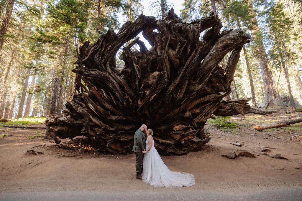 A bride and groom stand together in front of a large, intricate tree root system in a forest setting at a Sequoia National Park Spots for Photos