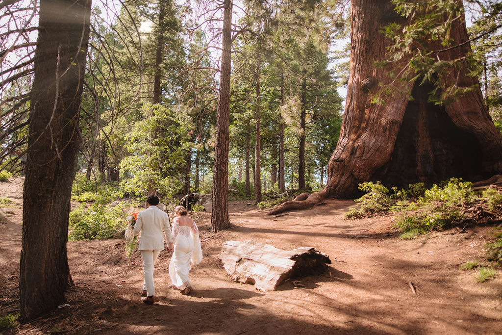 A bride and groom in wedding attire stand in front of a large tree in a forest, with sunlight filtering through the trees. Sequoia National Park Spots for Photos