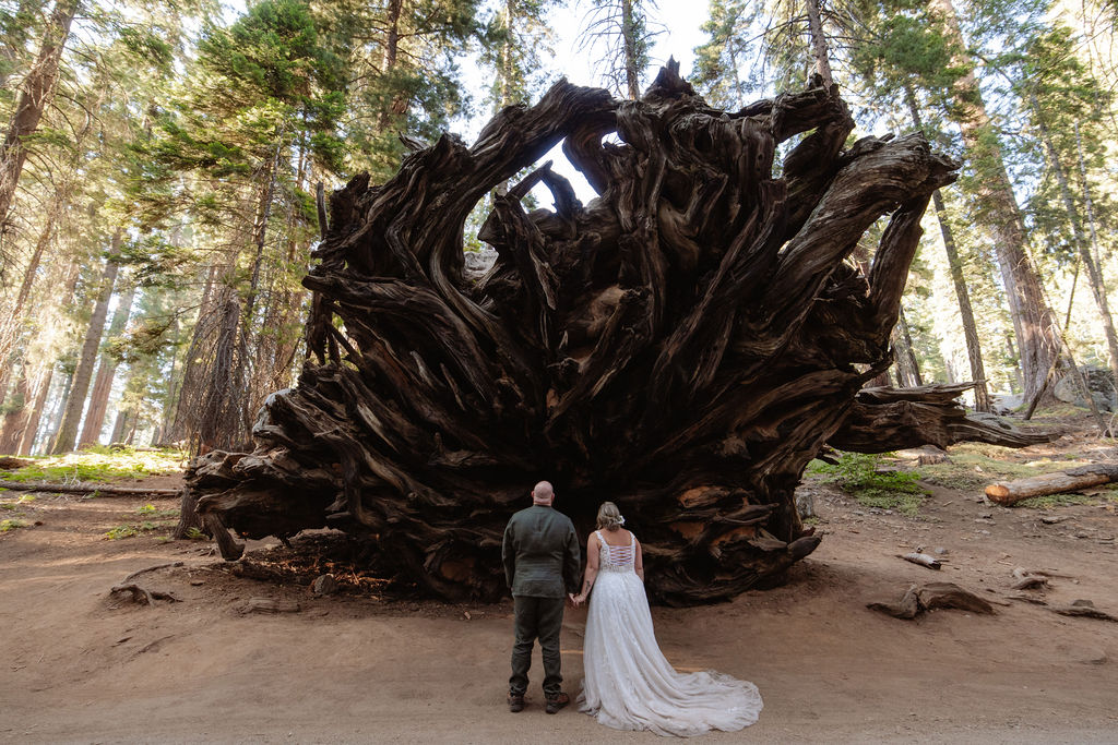 A bride and groom stand together in front of a large, intricate tree root system in a forest setting at a Sequoia National Park Spots for Photos