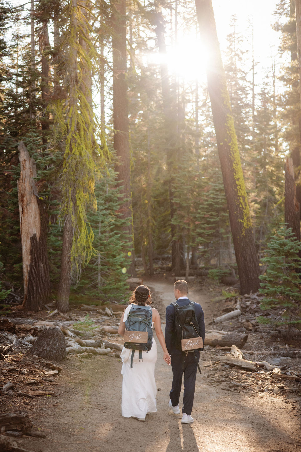 A couple wearing backpacks walks hand-in-hand down a forest trail with sunlight streaming through tall trees.