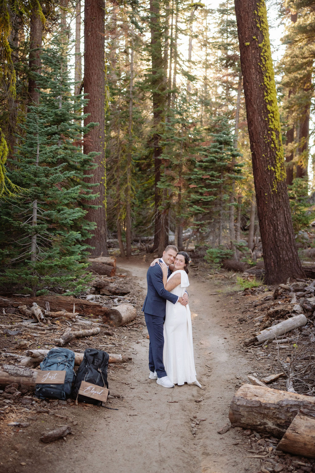 A couple wearing backpacks walks hand-in-hand down a forest trail with sunlight streaming through tall trees.