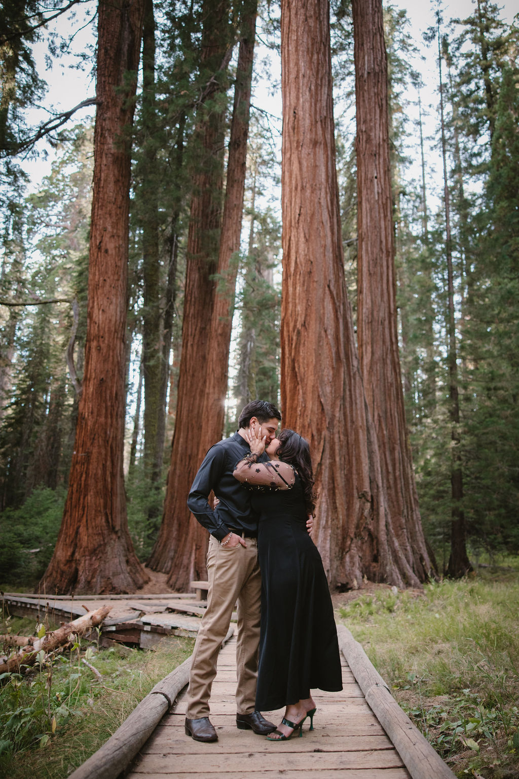 Two people stand holding hands in front of a massive redwood tree in a forest, looking in opposite directions.