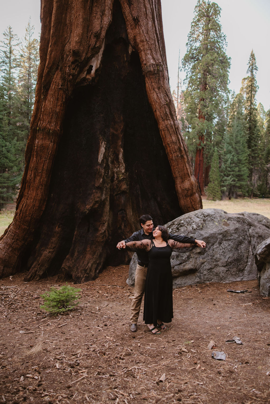 Two people stand holding hands in front of a massive redwood tree in a forest, looking in opposite directions.