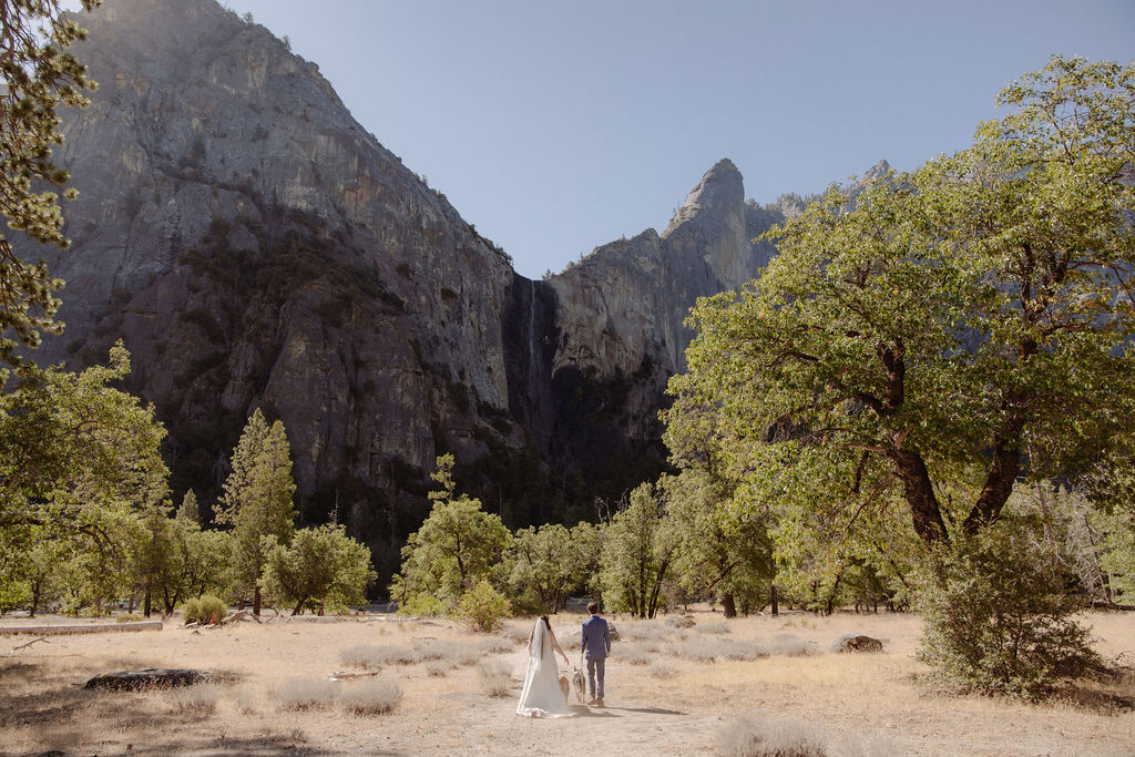 Couple with their dog in Yosemite National Park