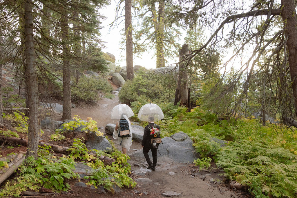 Couple hikes with clear umbrellas in Yosemite