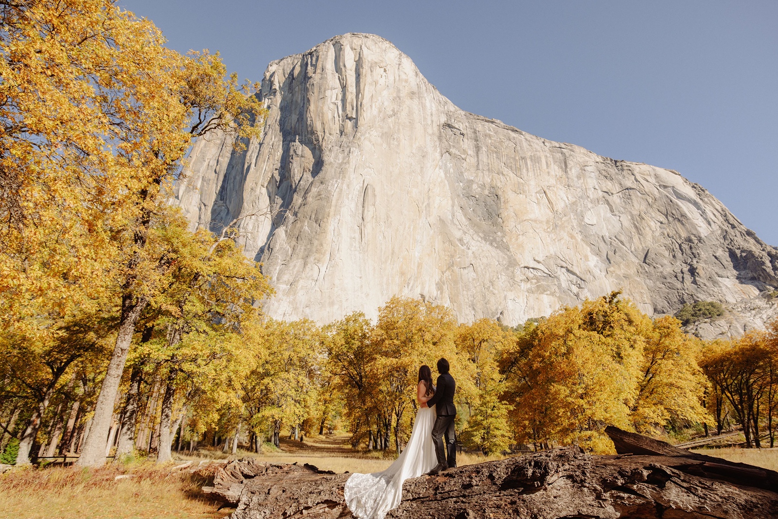 Bride and groom in El Cap Meadow in Yosemite with yellow trees behind them