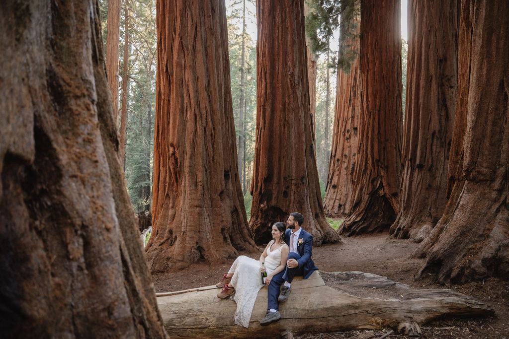Bride and groom sitting in Sequoia National Park